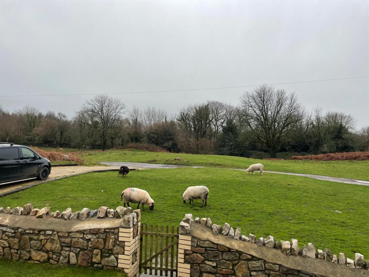 הוילה Coity The House On The Common מראה חיצוני תמונה